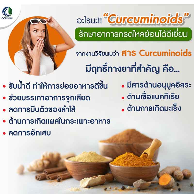 สารเคอคูมินอยด์ สารสกัดจากขมิ้นชัน กรีนเคอมิน Green Curmin ประโยชน์ขมิ้นชัน