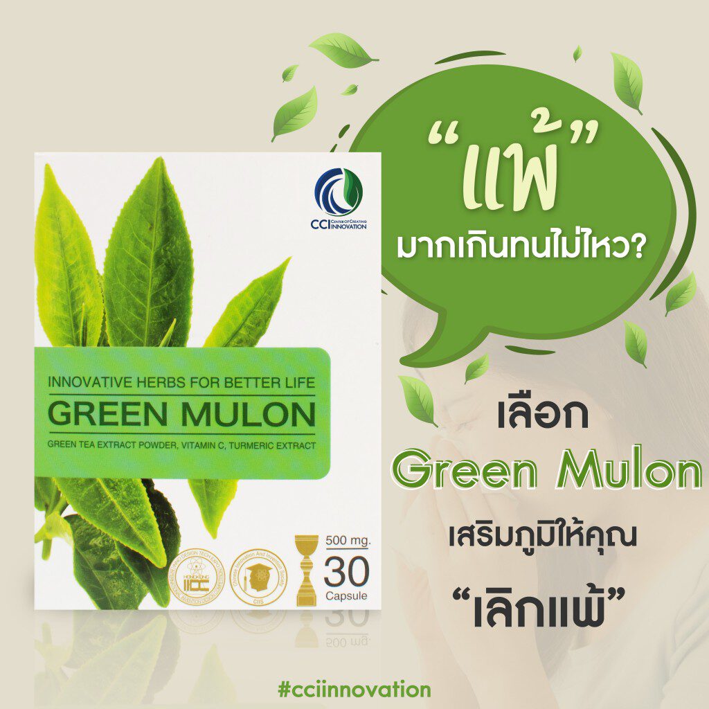 Green Mulon กรีนมูลอน โรคภูมิแพ้ allergy ภูมิแพ้อากาศ ภูมิแพ้อาหาร ภูมิแพ้ผิวหนัง ภูมิแพ้ตา