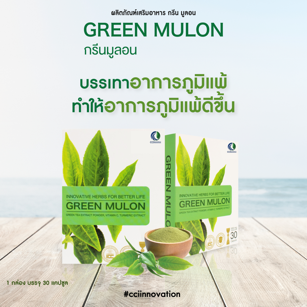 กรีนมูลอน Green Mulon บรรเทอาการภูมิแพ้ โรคภูมิแพ้ผิวหนัง