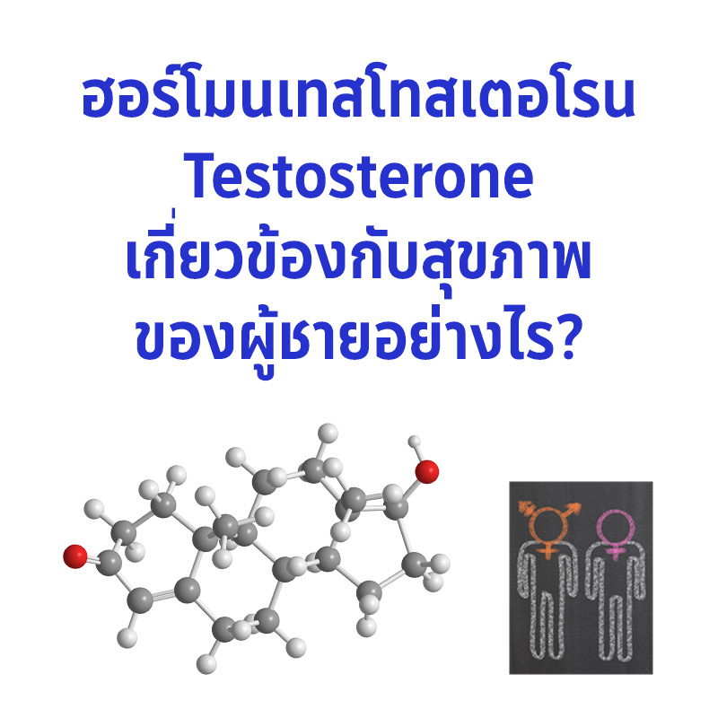 Testosterone