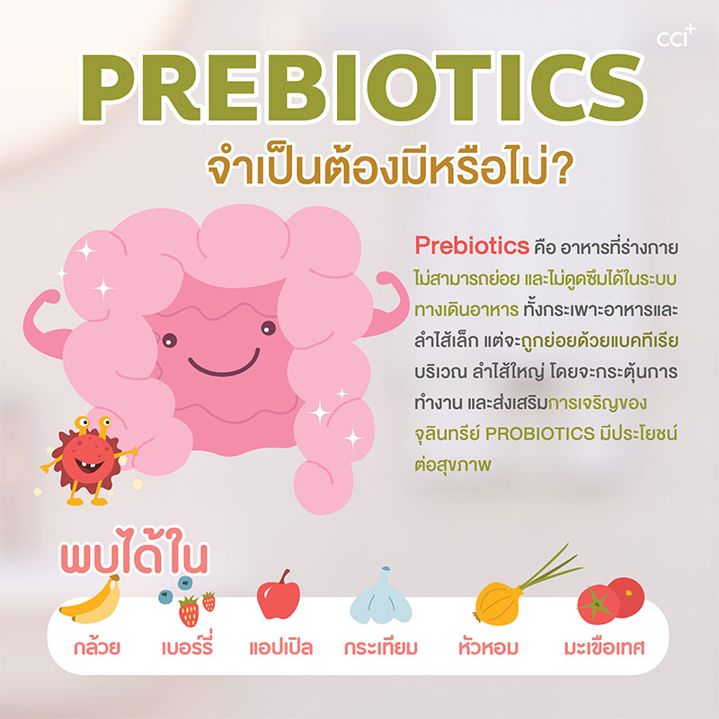 Happy Kaicho แฮปปี้ไคโช Prebiotics พรีไบโอติกส์